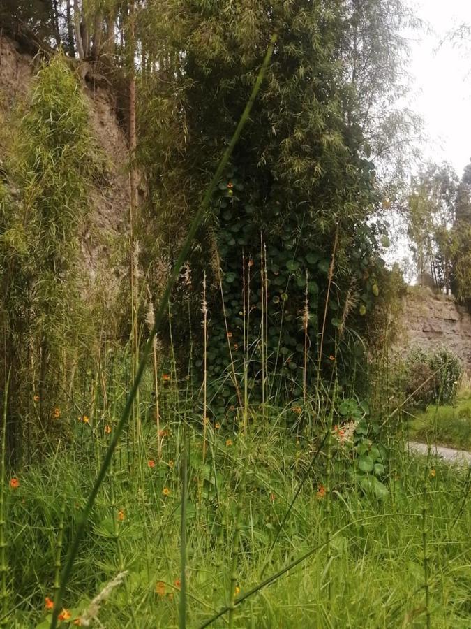 Hosteria La Gaviota Bed and Breakfast Riobamba Buitenkant foto